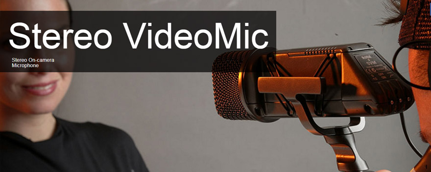 stereo video mic